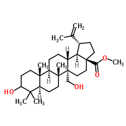 cas no 263844-79-7 is Methyl (3&alpha;)-3,27-dihydroxylup-20(29)-en-28-oate