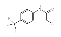 cas no 2707-23-5 is 2-Chloro-N-[4-(trifluoromethyl)phenyl]acetamide