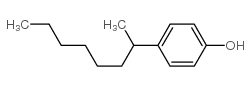 cas no 27214-47-7 is p-sec-octylphenol