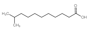 cas no 2724-56-3 is 10-methylundecanoic acid
