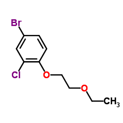 cas no 279261-90-4 is 4-Bromo-2-chloro-1-(2-ethoxyethoxy)benzene