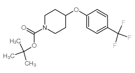 cas no 287952-08-3 is 1-BOC-4-(4-TRIFLUOROMETHYLPHENOXY)PIPERIDINE
