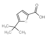 cas no 29212-25-7 is 5-TERT-BUTYLTHIOPHENE-2-CARBOXYLICACID
