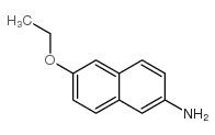 cas no 293733-21-8 is 2-AMINO-6-ETHOXYNAPHTHALENE