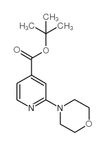 cas no 295349-63-2 is 2-(4-MORPHOLINYL)-PYRIDINE-4-CARBOXYLIC ACID TERT-BUTYL ESTER
