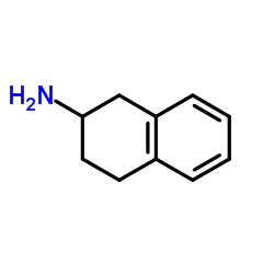 cas no 2954-50-9 is 2-Aminotetralin