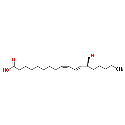 cas no 29623-28-7 is 13S-hydroxyoctadecadienoic acid