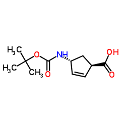 cas no 298716-03-7 is (1R,4R)-4-(Boc-aMino)cyclopent-2-enecarboxylic acid