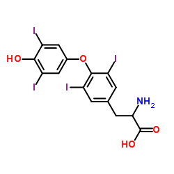 cas no 300-30-1 is DL-Thyroxine