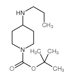 cas no 301225-58-1 is 1-BOC-4-PROPYLAMINOPIPERIDINE