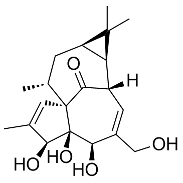 cas no 30220-46-3 is Ingenol