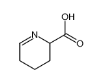 cas no 3038-89-9 is delta-1-piperidine-6-carboxylic acid