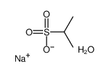 cas no 304851-99-8 is 2-PROPANESULFONIC ACID SODIUM SALT MON&