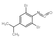cas no 306935-84-2 is 2,6-DIBROMO-4-ISOPROPYLPHENYL ISOCYANATE