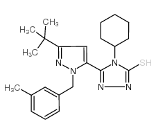 cas no 306937-11-1 is 5-[3-(tert-butyl)-1-(3-methylbenzyl)-1h-pyrazol-5-yl]-4-cyclohexyl-4h-1,2,4-triazole-3-thiol