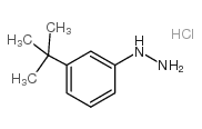 cas no 306937-27-9 is 1-[3-(tert-butyl)phenyl]hydrazine hydrochloride