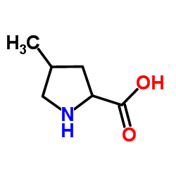 cas no 31137-95-8 is 4-Methylproline