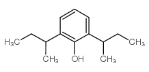 cas no 31291-60-8 is di-sec-butylphenol