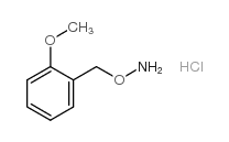 cas no 317821-72-0 is 1-[(Aminooxy)methyl]-2-methoxybenzene hydrochloride