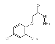 cas no 32022-38-1 is 2-Methyl-4-chlorophenoxyacetic acid hydrazide