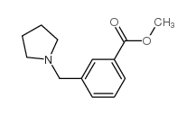 cas no 321198-22-5 is METHYL 3-(1-PYRROLIDYLMETHYL)BENZOATE