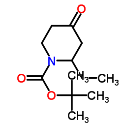 cas no 324769-07-5 is 1-Boc-2-Ethyl-piperidin-4-one