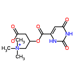 cas no 32543-38-7 is DL-CARNITINEOROTATE