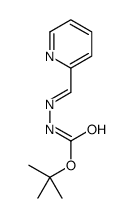 cas no 328011-57-0 is TERT-BUTYL 2-(PYRIDIN-2-YLMETHYLENE)HYDRAZINECARBOXYLATE