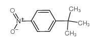 cas no 3282-56-2 is Benzene,1-(1,1-dimethylethyl)-4-nitro-