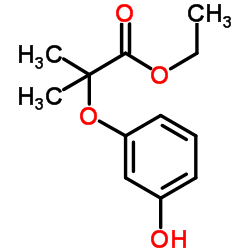 cas no 328919-24-0 is ethyl 2-(3-hydroxyphenoxy)-2-methyl propanoate