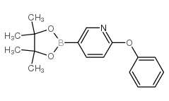 cas no 330792-76-2 is 5-(4,4,5,5-TETRAMETHYL-1,3,2-DIOXABOROLAN-2-YL)-2-PHENOXYPYRIDINE