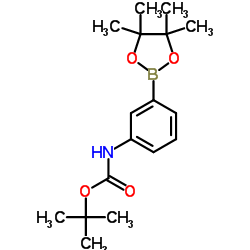 cas no 330793-09-4 is Tert-butyl-n-[3-(4,4,5,5-tetramethyl-1,3,2-dioxaborolan-2-yl)phenyl]carbamate