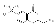 cas no 33353-60-5 is 4-tert-Butyl-2-nitrophenyl propyl ether