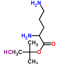 cas no 33545-98-1 is BOC-1,4-DIAMINOBUTANE HYDROCHLORIDE