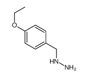 cas no 33556-42-2 is 4-ETHOXY-BENZYL-HYDRAZINE