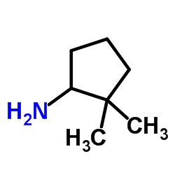 cas no 345658-02-8 is 2,2-Dimethylcyclopentanamine