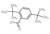 cas no 3463-35-2 is 1,4-ditert-butyl-2-nitrobenzene
