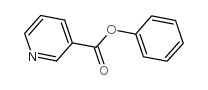 cas no 3468-53-9 is phenyl nicotinate
