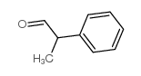 cas no 34713-70-7 is 2-phenylpropionaldehyde
