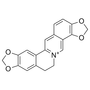cas no 3486-66-6 is Coptisine