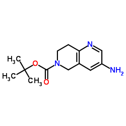 cas no 355819-02-2 is tert-butyl3-amino-7,8-dihydro-1,6-naphthyridine-6(5H)-carboxylate