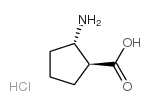 cas no 359849-58-4 is (1S,2S)-2-Aminocyclopentanecarboxylic acid hydrochloride