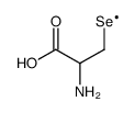 cas no 3614-08-2 is selenocysteine