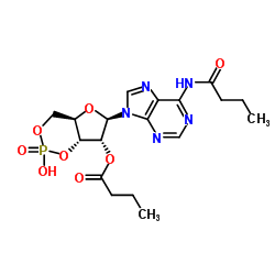 cas no 362-74-3 is Bucladesine