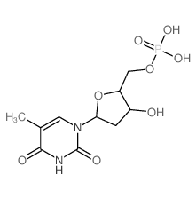 cas no 365-07-1 is 5'-Thymidylic acid