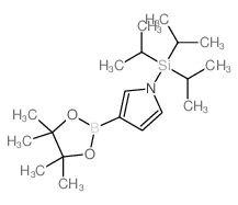 cas no 365564-11-0 is 3-(tetramethyl-1,3,2-dioxaborolan-2-yl)-1-[tris(propan-2-yl)silyl]-1H-pyrrole
