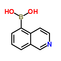 cas no 371766-08-4 is Isoquinoline-5-boronicacid