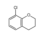cas no 3722-69-8 is 8-chloro-3,4-dihydro-2H-chromene