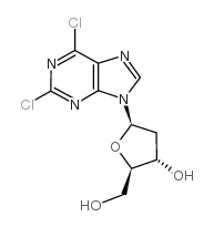 cas no 37390-66-2 is 2,6-Dichloropurine-2'-deoxyriboside