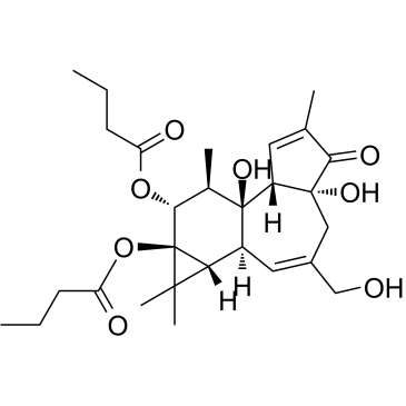 cas no 37558-16-0 is Phorbol-12